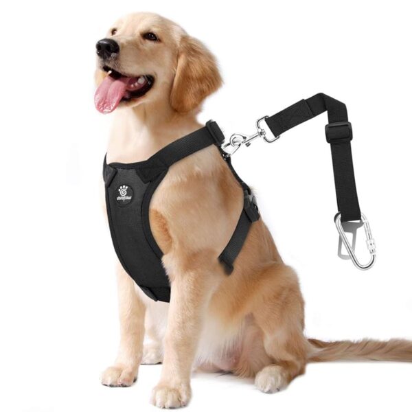 Harnesses & Seatbelts