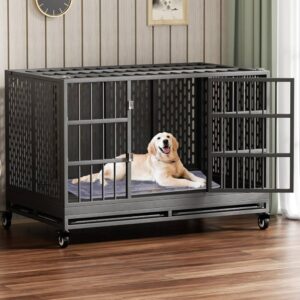 Folding Metal Dog Crate Giant